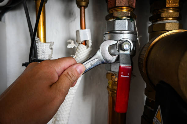 Best Local Plumber Services  in Isla Vista, CA